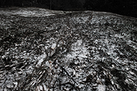 Landscapes Series